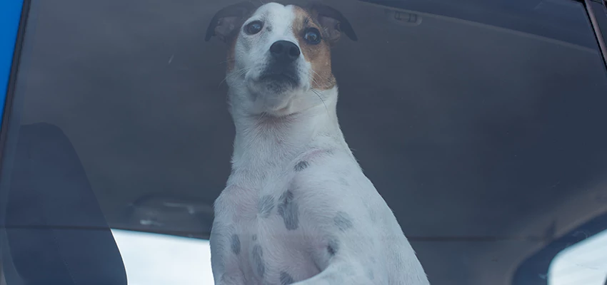 Car Lockout Solutions in Earlimart, California